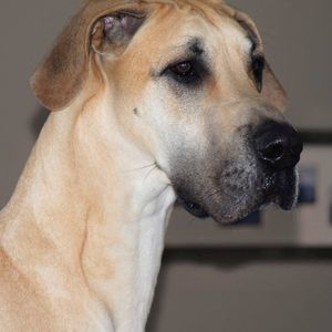 Meet your Posher, Jodi